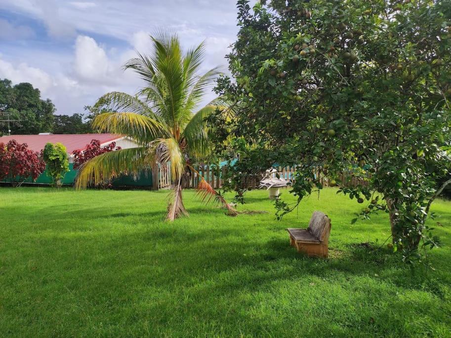 Villa Familiale Avec Piscine Le Marin Ngoại thất bức ảnh